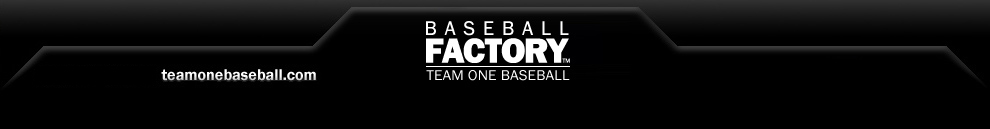 Baseball Factory